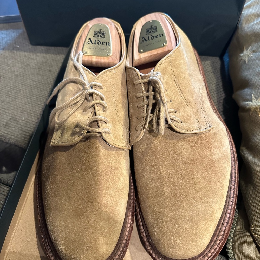Alden suede plain toe blucher in tan